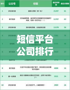 短信平台公司排行榜揭晓，行业影响力与竞争态势分析