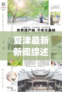 夏津最新新闻综述，今日时事消息全解析
