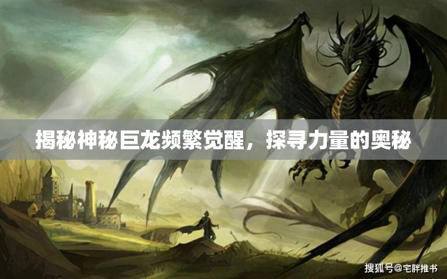揭秘神秘巨龙频繁觉醒，探寻力量的奥秘