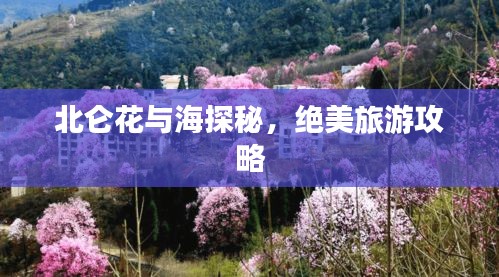 北仑花与海探秘，绝美旅游攻略