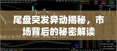 尾盘突发异动揭秘，市场背后的秘密解读