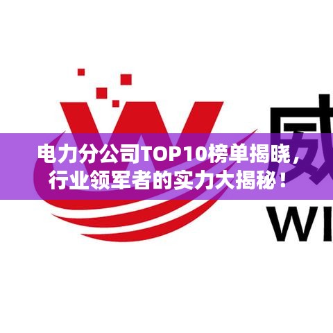电力分公司TOP10榜单揭晓，行业领军者的实力大揭秘！
