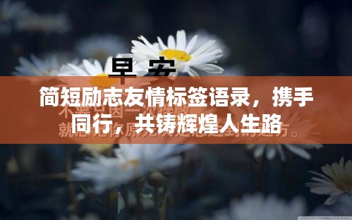 简短励志友情标签语录，携手同行，共铸辉煌人生路