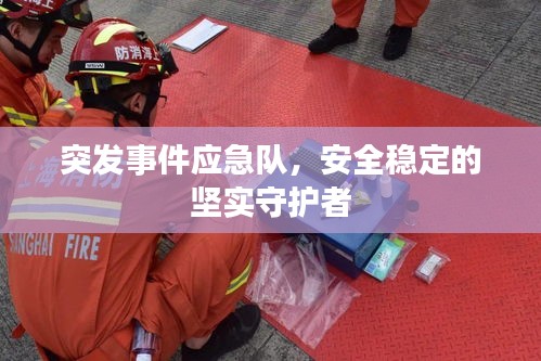 突发事件应急队，安全稳定的坚实守护者