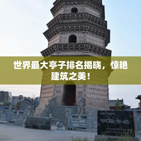 2025年6月19日