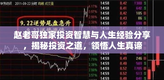 赵老哥独家投资智慧与人生经验分享，揭秘投资之道，领悟人生真谛