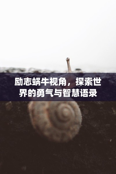 励志蜗牛视角，探索世界的勇气与智慧语录