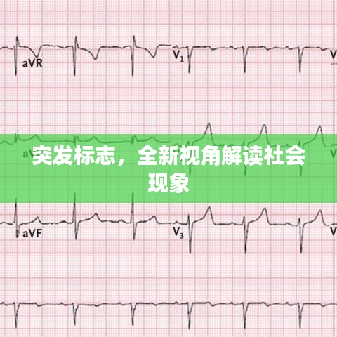 突发标志，全新视角解读社会现象