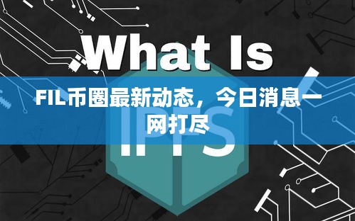FIL币圈最新动态，今日消息一网打尽