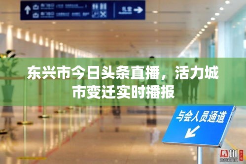东兴市今日头条直播，活力城市变迁实时播报